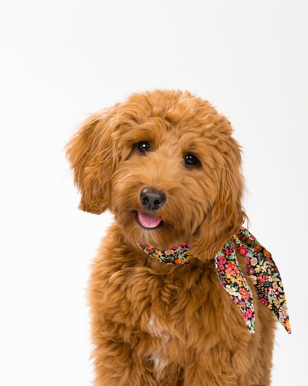CLASSIC NECKTIE